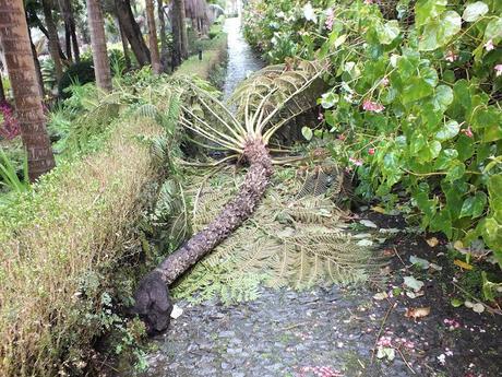 Boom, Snap, and Crash