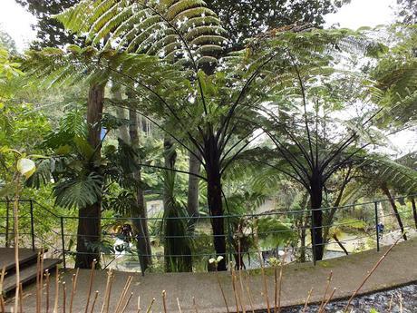 Boom, Snap, and Crash