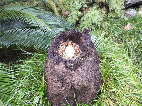 Boom, Snap, and Crash