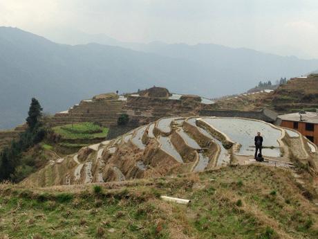 Guilin Rice Terraces 1