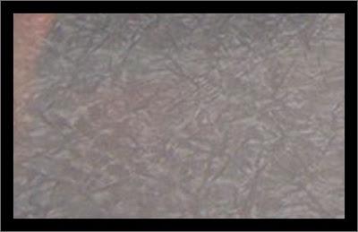 Abandoning the Bible Reading Plan