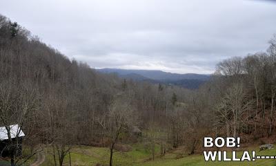 Things Are Going to the Dogs