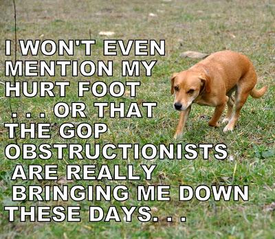 Things Are Going to the Dogs