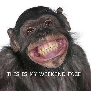 grinning chimp