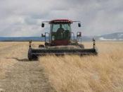 Grassland Harvest Could Conserve Resources, Benefit Farmers, Curb Government Spending