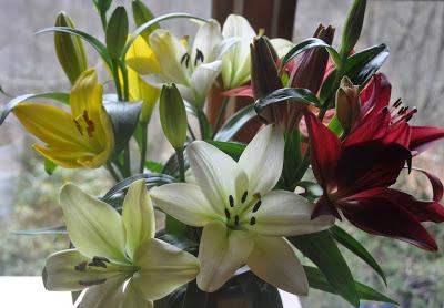 Lilies Inside...Hellebores Outside