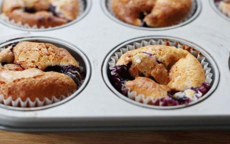  photo Blueberry Muffins 1_zpsznwj7jdd.jpg