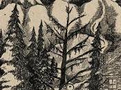 Panopticon/Waldgefluster Split