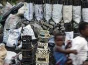 Drought Adds Fuel Fire Zambia Loses Battle Save Forests