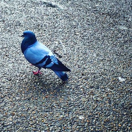 The London Nightly #Photoblog 25:02:16 The Ubiquitous Londoner