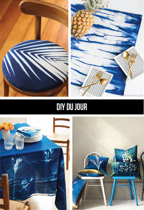 DIY du Jour: Sunprint Fabric