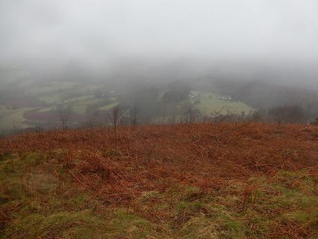 Wentwood Forest Walk