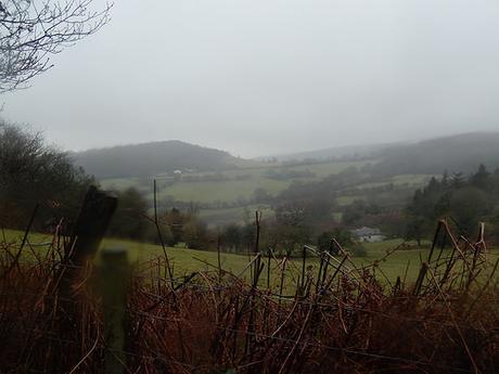 Wentwood Forest Walk