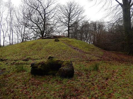 Wentwood Forest Walk