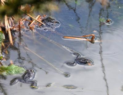 A Welcome Sight and Sound