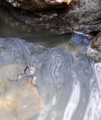 A Welcome Sight and Sound