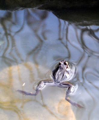 A Welcome Sight and Sound