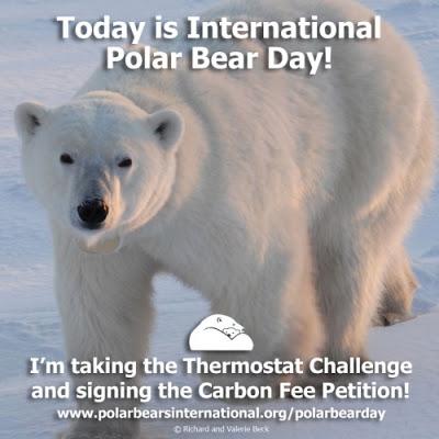 Happy International Polar Bear Day! Take the #ThermostatChallenge