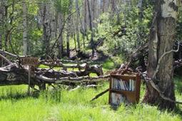 US Oil Sands announces slow down and lack of funding! USOS STOCKS plummet!