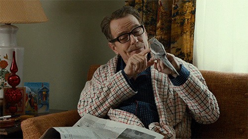 tumblr_o36qngwntd1qa2yavo1_500_zpsjmqaej8a