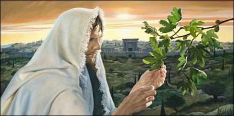 Jesus and the fig tree