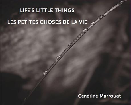 First advance reviews for “Life’s Little Things – Les petites choses de la vie”