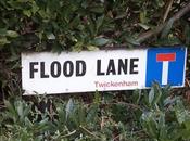 Estate Agent's Nightmare