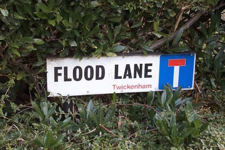 The Estate Agent's Nightmare