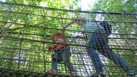 Bewilderwood wins Baby Changing Room of The Year!