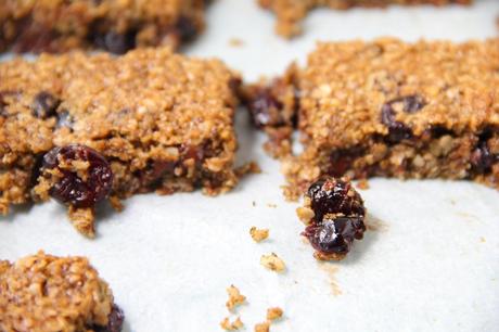 Chocolate Cranberry Flapjack Close-up