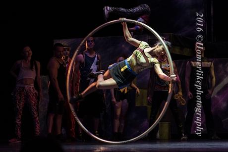 Don't Miss the Chance To Catch Cirque Eloize iD If You Haven't Done So!