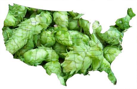 Tracking the Evolution of American IPA