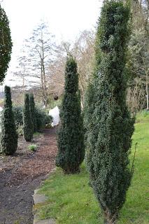 A winter picnic in a fine garden