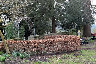 A winter picnic in a fine garden