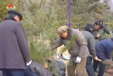 SPA Presidium Vice President Yang Hyong Sop helps stabilize a tree being planted on the premises of the Mangyo'ngdae Revolutionary Museum in Pyongyang on March 2, 2016 (Photo: KCTV screen grab).