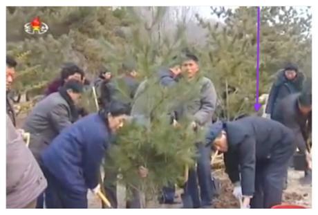 WPK Secretary and Director of Planning and Finance Kwak Pom Gi participates in planting a tree at Mangyo'ngdae Revolutionary Museum in Pyongyang on March 2, 2016 (Photo: KCTV screen grab).