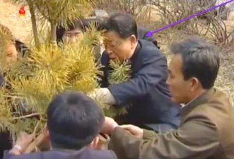 State Planning Commission Chairman and DPRK Vice Premier Ro Tu Chol ties stakes to a tree at Moran Hill in Pyongyang on March 2, 2016 (Photo: KCTV screen grab).