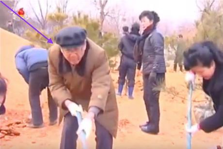 WPK Secretary and SPA Chairman Choe T'ae Bok plants a tree at the Central Tree Nursery in Pyongyang on March 2, 2016 (Photo: KCTV screen grab).
