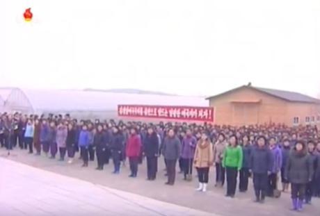 Members of the Korean Democratic Women's Union attend a meeting on Tree Planting Day at the Central Tree Nursery in Pyongyang on March 2, 2016 (Photo: KCTV screen grab).
