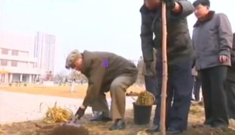 Workers' Party of Korea Secretary and Director of the WPK Propaganda and Agitation Department Kim Ki Nam (a) shovel dirt over a tree planting at Mangyo'ngdae Schoolchildren's Palace in Pyongyang on March 2, 2016 (Photo: KCTV screen grab).