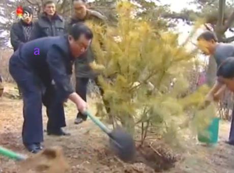WPK Secretary for Light Industry O Su Yong shovels dirt over a tree at Moran Hill in Pyongyang on March 2, 2016 (Photo: KCTV screen grab).