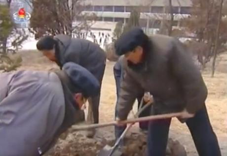 Faculty and students plant trees and shrubberies on the campus of Kim Il Sung University in Pyongyang on March 2, 2016 (Photo: KCTV screen grab).