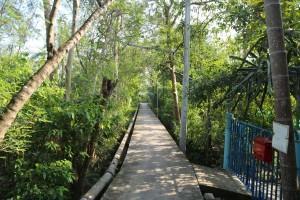 Elevated walkways in Phra Pradaeng