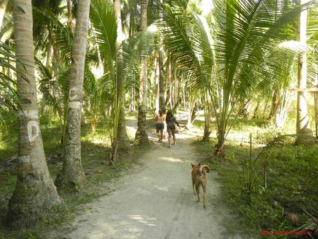 Binalayan Hidden Falls: Three Flows of Magic, Beauty, and Charm