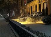 Nobody Ever Loved Much Him—Friday Fiction