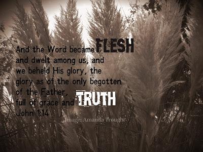 Word for the Week - John 1:14