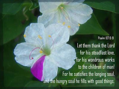 Prata's Potpourri: Dominionism, 190 blogs, 300 books, decisonal easy-believism, wandering pastors, more