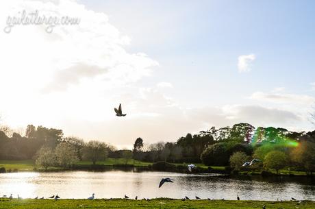 Parque da Cidade, Porto