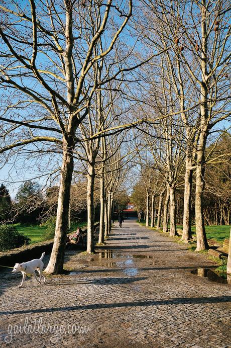 Parque da Cidade, Porto