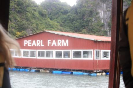 Taken in December of 2015 in Bai Tu Long Bay 